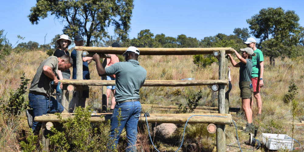 south-africa-lion-tiger-rescue-wildlife-sanctuary-12