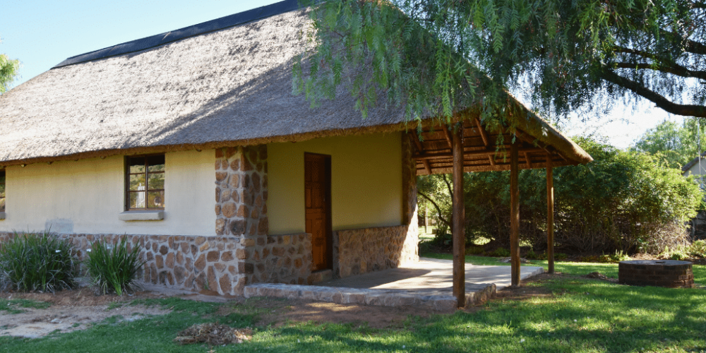 south-africa-lion-tiger-rescue-wildlife-sanctuary-13