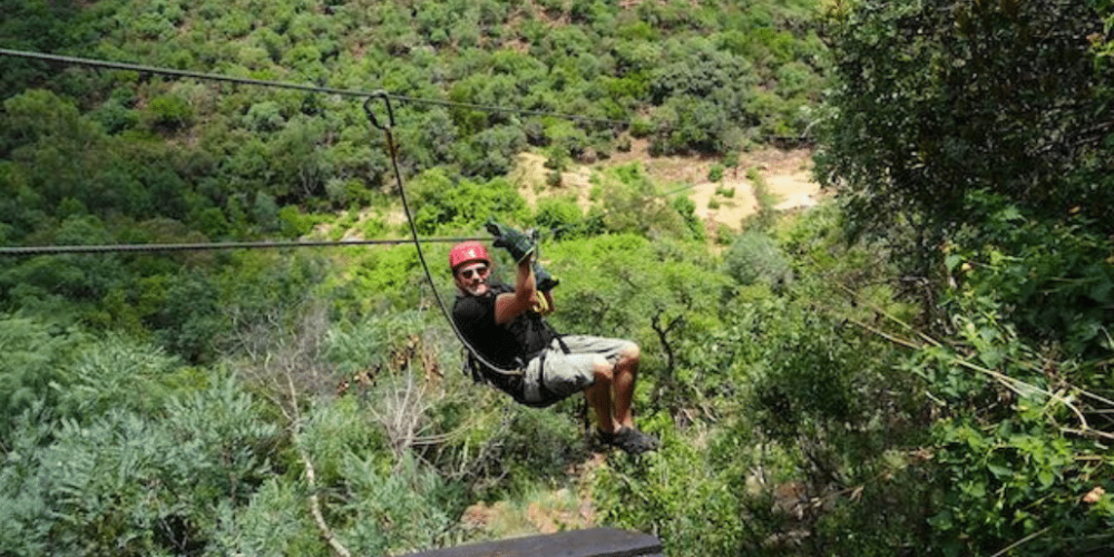 south-africa-lion-tiger-rescue-wildlife-sanctuary-2