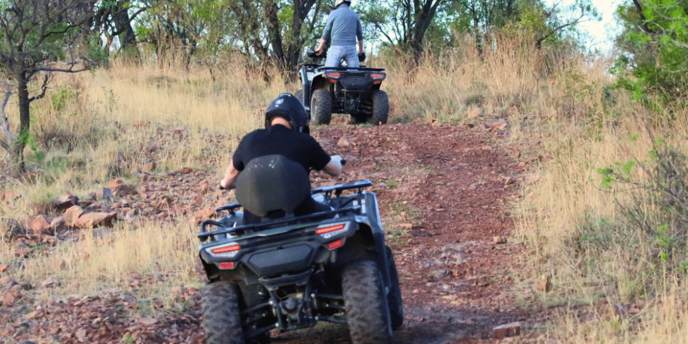 south-africa-lion-tiger-rescue-wildlife-sanctuary-21