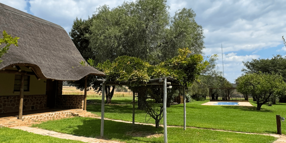 south-africa-lion-tiger-rescue-wildlife-sanctuary-3