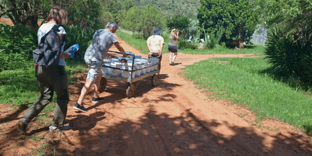 south-africa-lion-tiger-rescue-wildlife-sanctuary-38