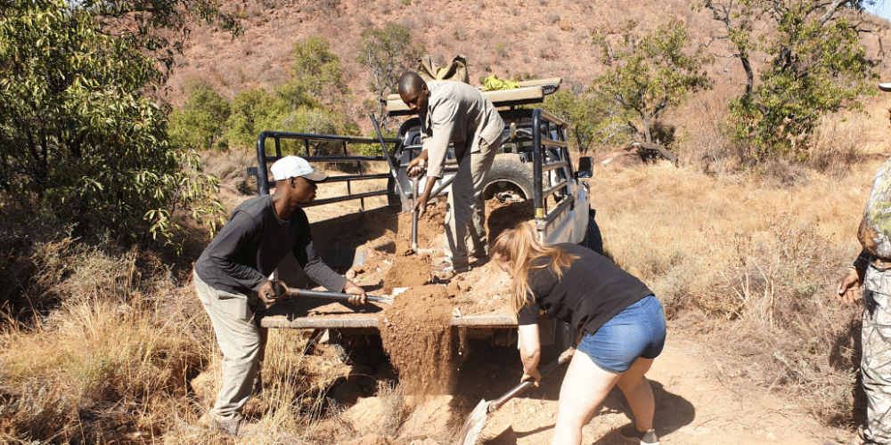 south-africa-lion-tiger-rescue-wildlife-sanctuary-45