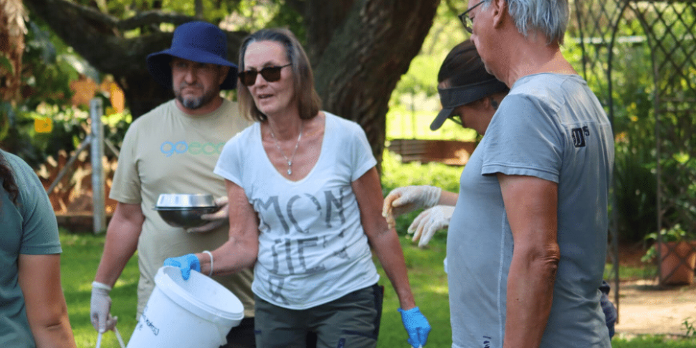south-africa-lion-tiger-rescue-wildlife-sanctuary-50