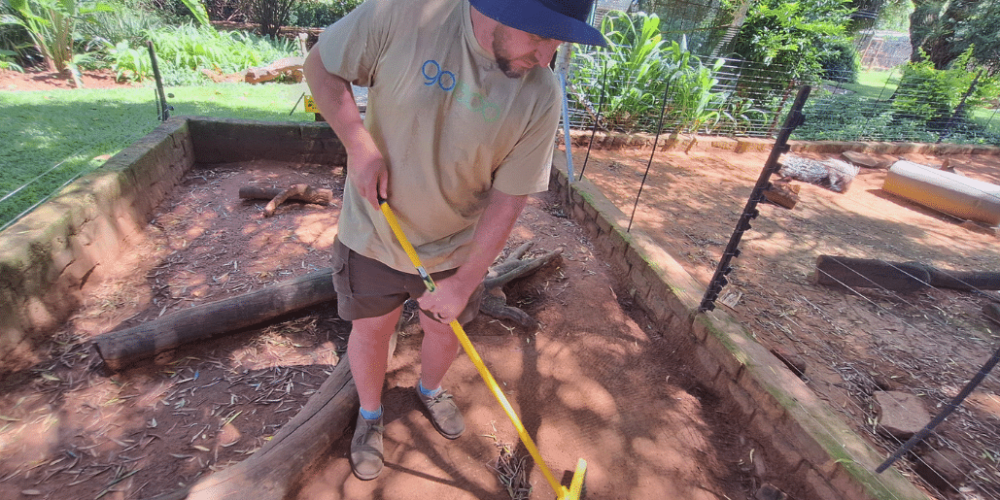 south-africa-lion-tiger-rescue-wildlife-sanctuary-51