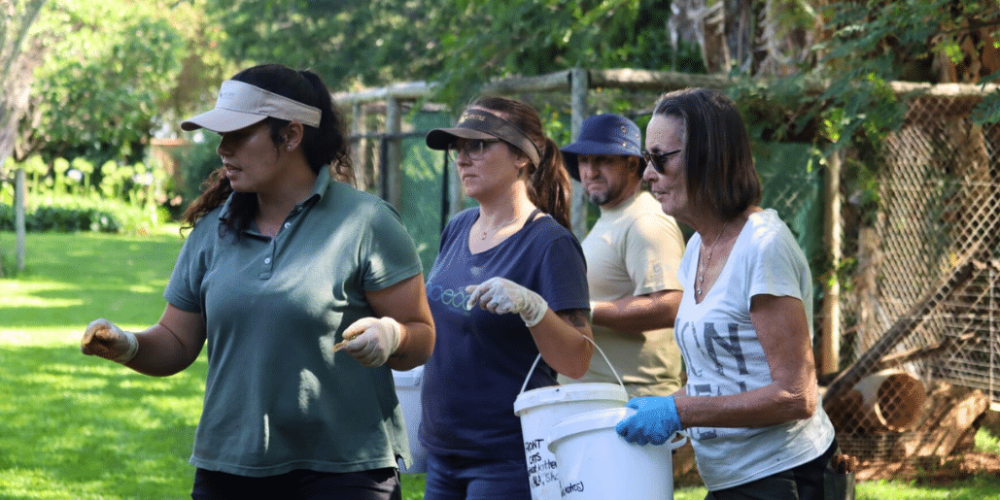 south-africa-lion-tiger-rescue-wildlife-sanctuary-52