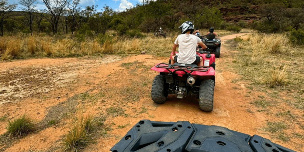 south-africa-lion-tiger-rescue-wildlife-sanctuary-7