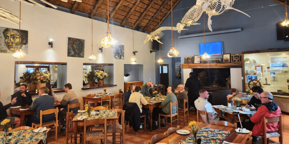 south-africa-marine-biology-internship-16