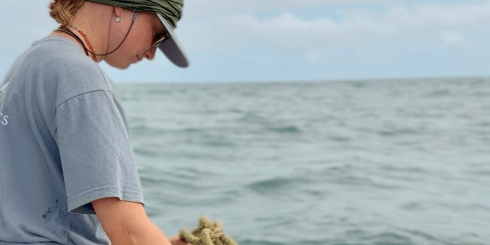south-africa-marine-biology-internship-24
