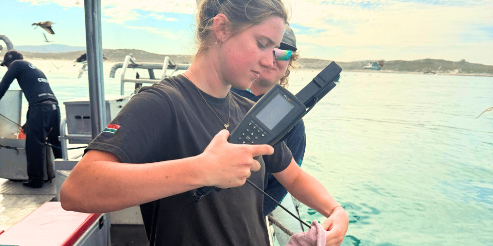 south-africa-marine-biology-internship-25