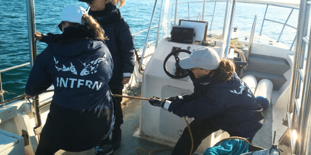 south-africa-marine-biology-internship-28