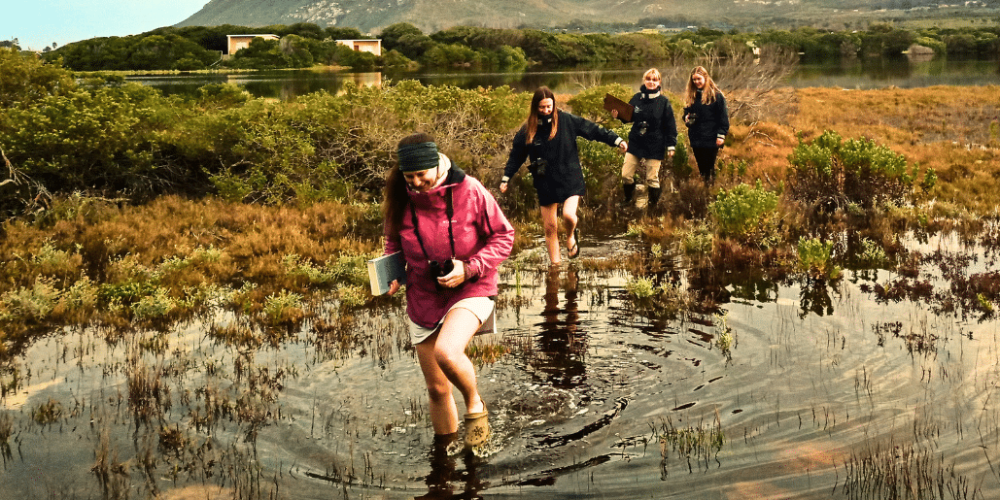 south-africa-marine-biology-internship-29