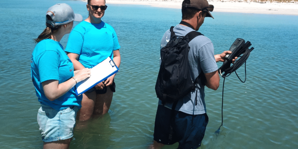 south-africa-marine-biology-internship-3