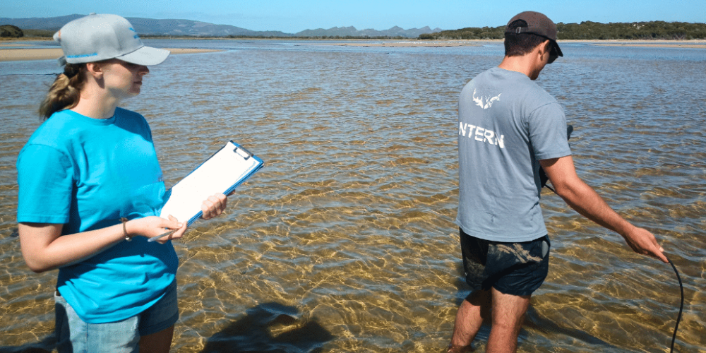 south-africa-marine-biology-internship-4