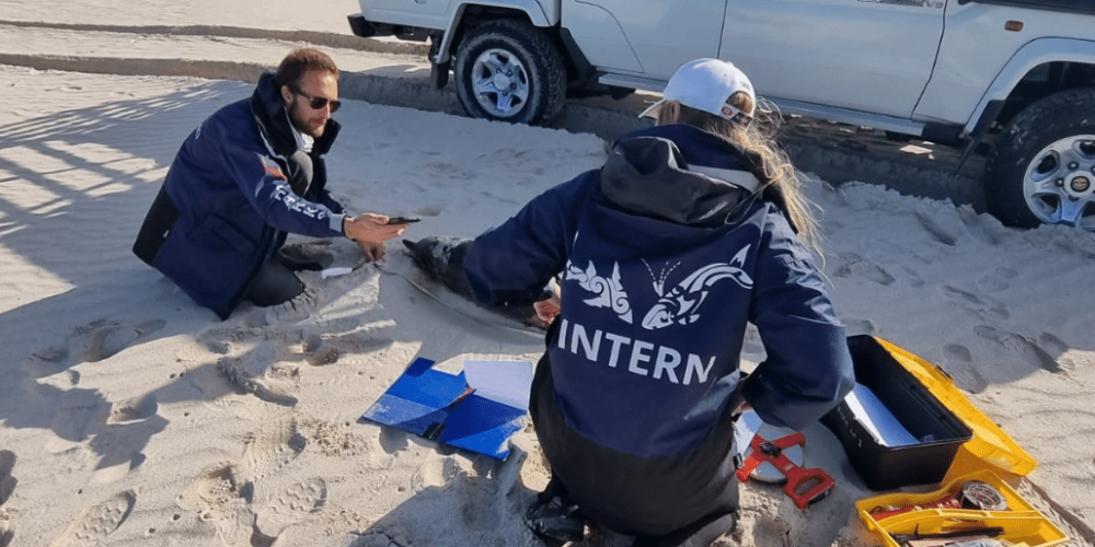 south-africa-marine-biology-internship-5