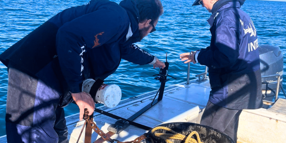 south-africa-marine-biology-internship-6