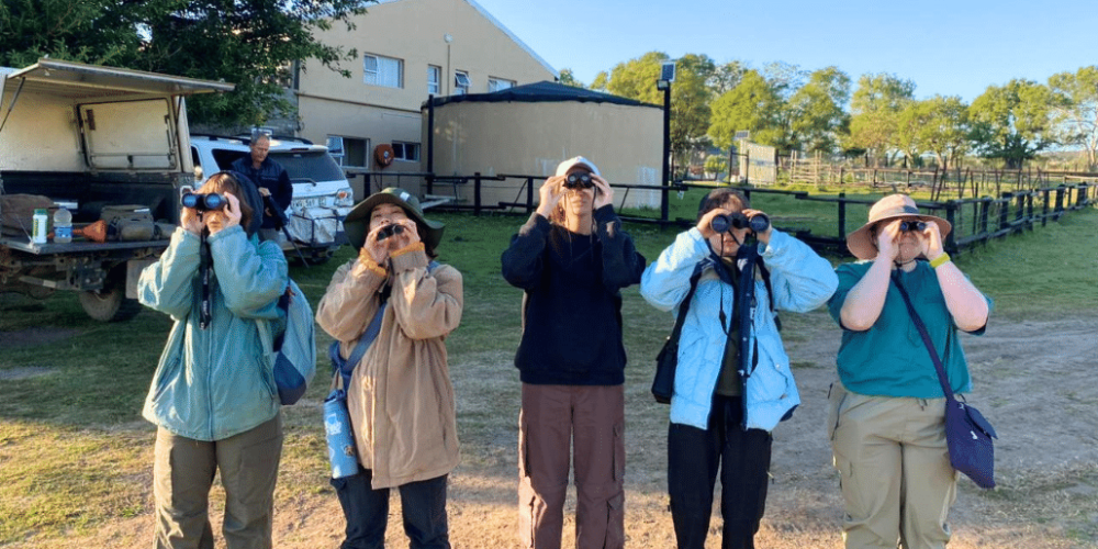 south-africa-pre-veterinary-internship-&-safari-experience-16