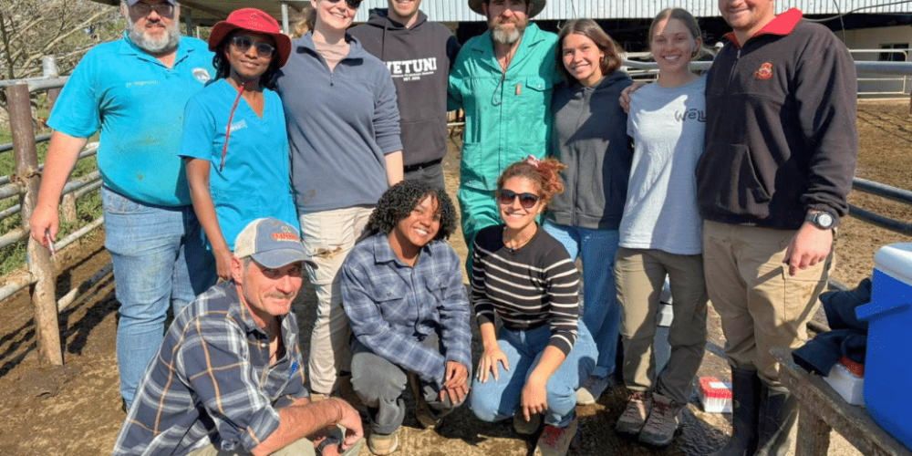 south-africa-pre-veterinary-internship-&-safari-experience-2