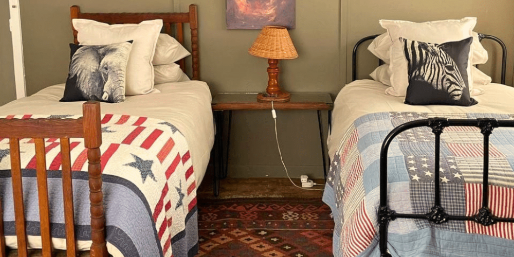 south-africa-pre-veterinary-internship-&-safari-experience-21