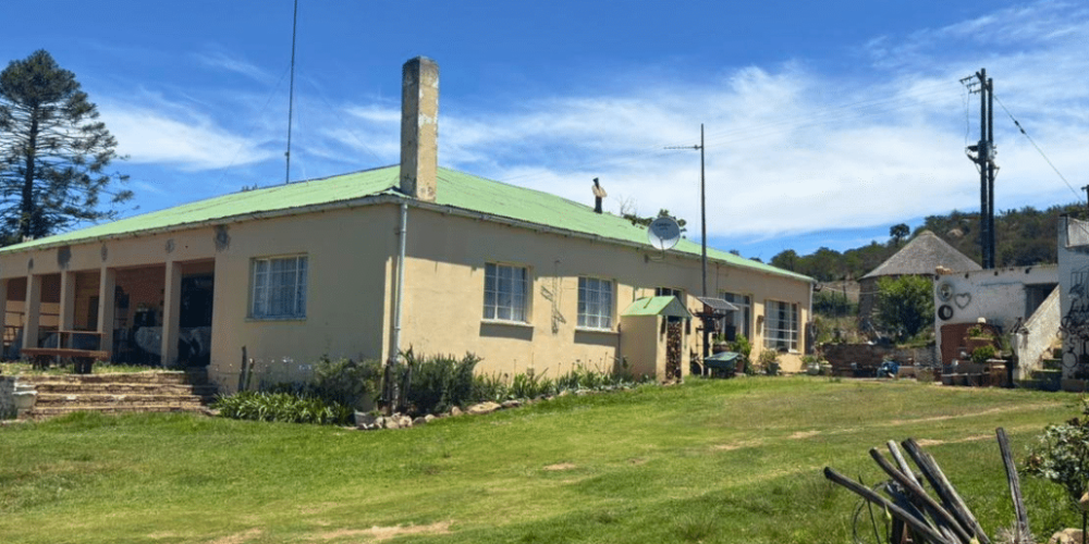 south-africa-pre-veterinary-internship-&-safari-experience-22