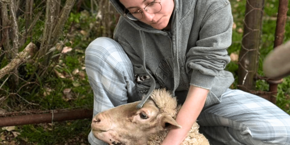 south-africa-pre-veterinary-internship-&-safari-experience-29