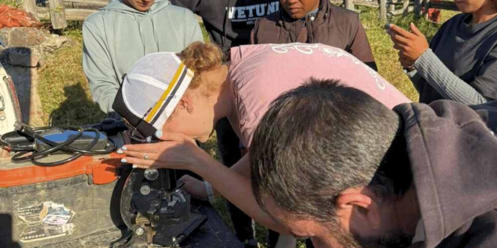 south-africa-pre-veterinary-internship-&-safari-experience-3