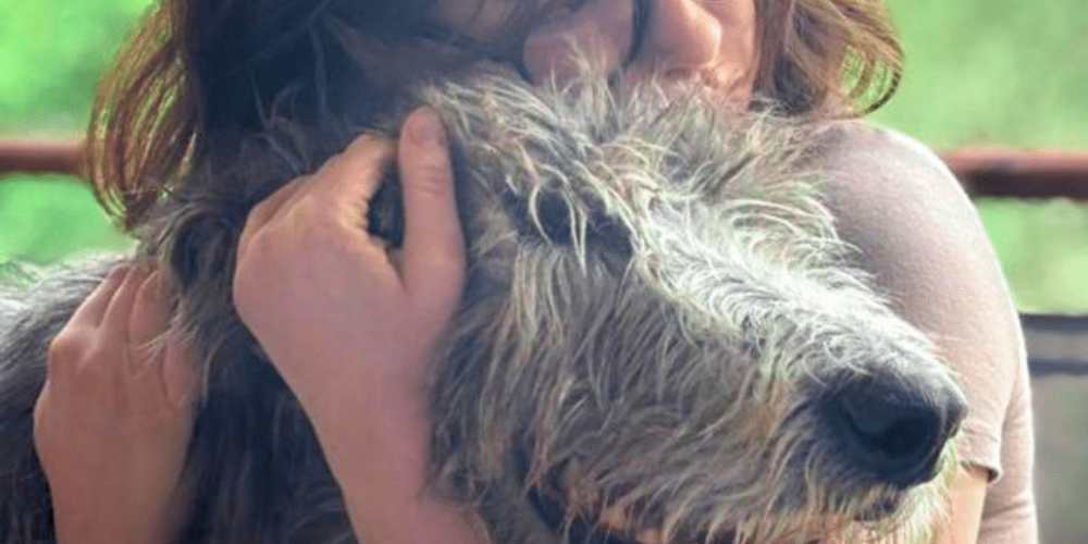 south-africa-pre-veterinary-internship-&-safari-experience-33