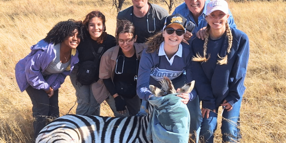 south-africa-pre-veterinary-internship-&-safari-experience-46