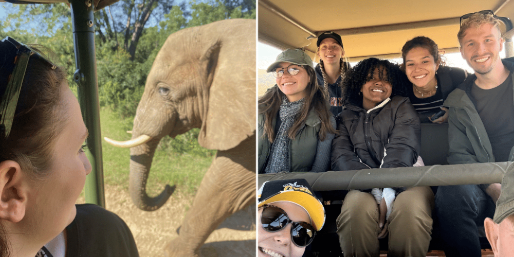 south-africa-pre-veterinary-internship-&-safari-experience-52