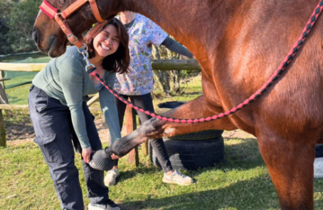 south-africa-pre-veterinary-internship-&-safari-experience-main-1