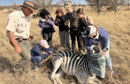 south-africa-pre-veterinary-internship-&-safari-experience-main-7