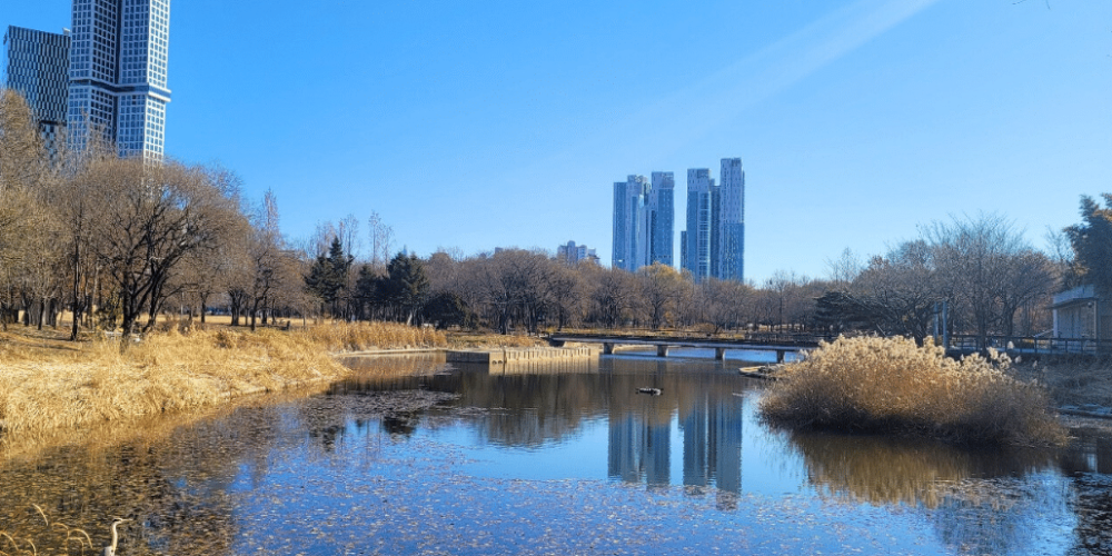 south-korea-seoul-culture-week-childcare-volunteering-37