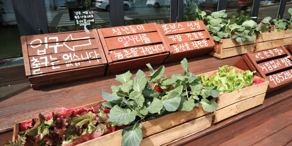 south-korea-working-holiday-support-program-11