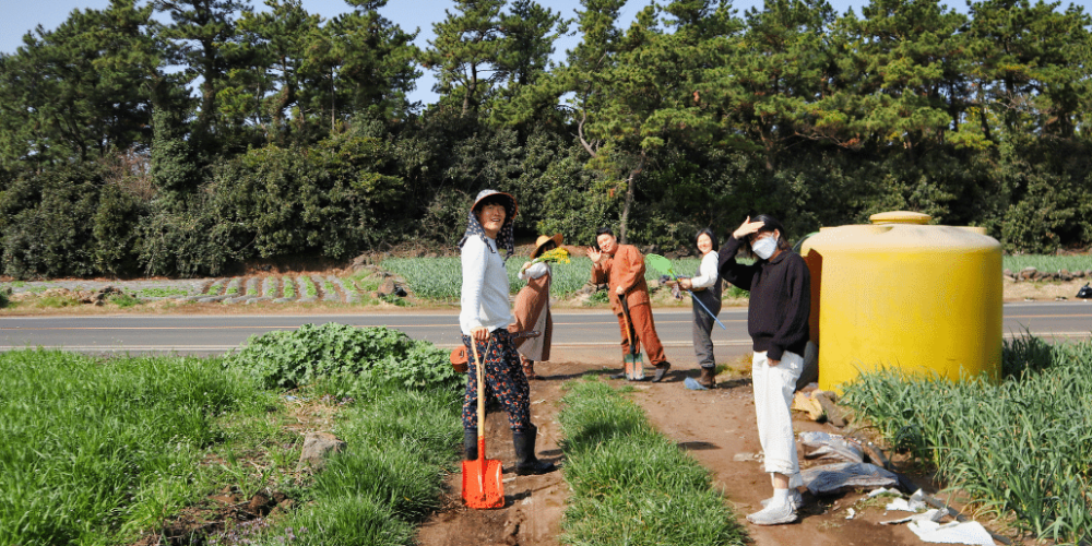 south-korea-working-holiday-support-program-15
