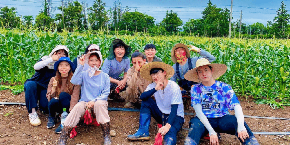 south-korea-working-holiday-support-program-21