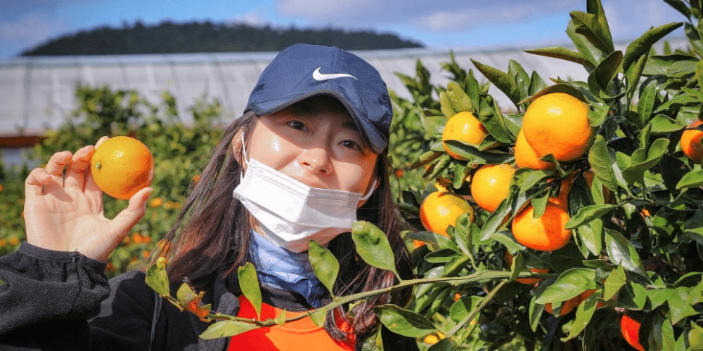 south-korea-working-holiday-support-program-26