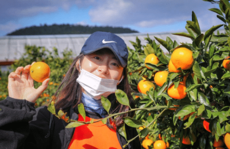 south-korea-working-holiday-support-program-main-4