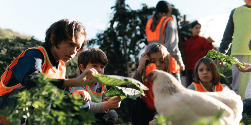 spain-barcelona-food-rescue-community-building17