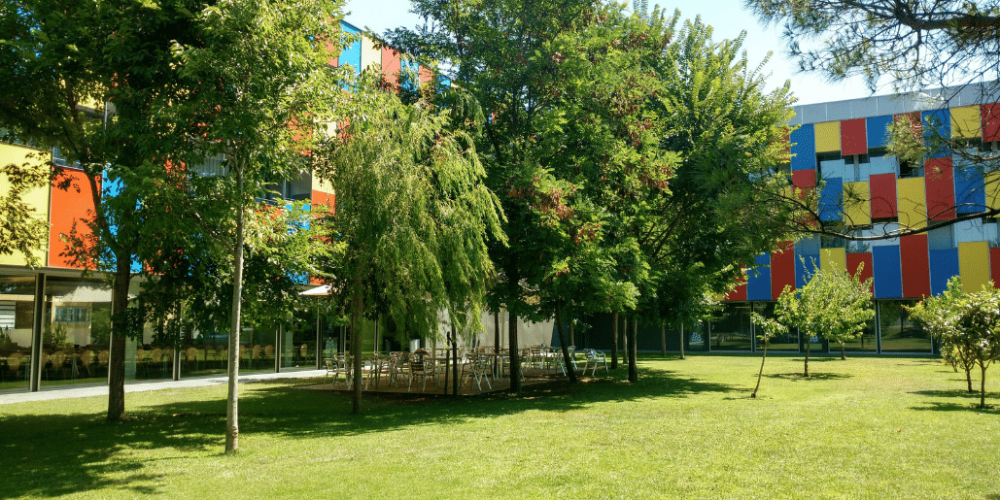 spain-teach-english-education-support-in-barcelona-22