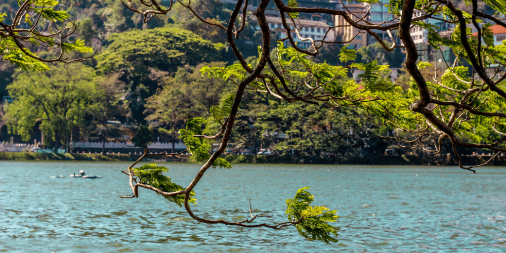 sri-lanka-kandy-community-construction-&-renovation-7