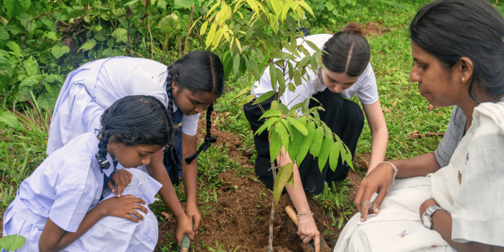 sri-lanka-sea-turtle-rescue-and-rehabilitation-eco-13