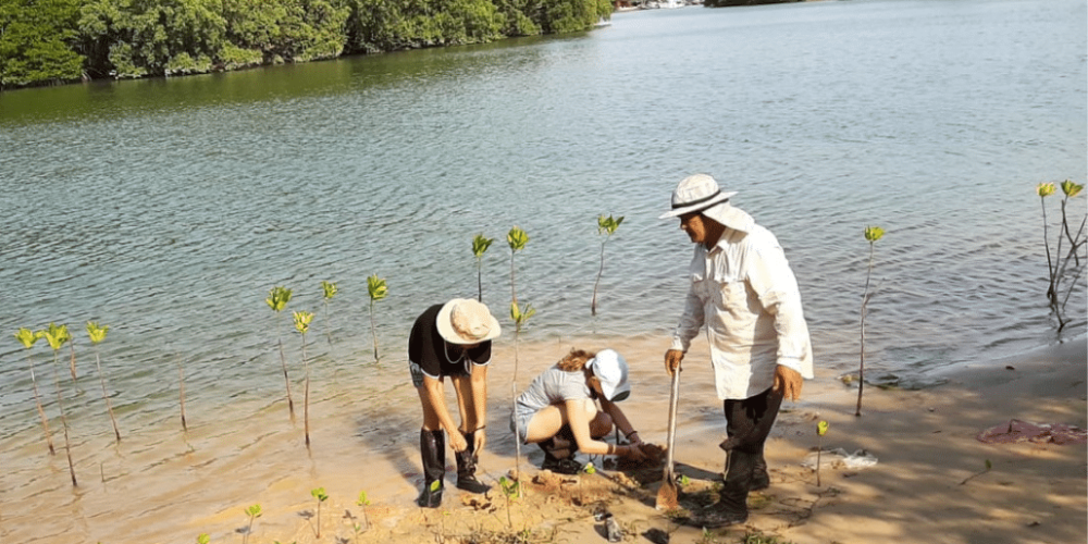 thailand-community-and-environment-program-for-teenagers2