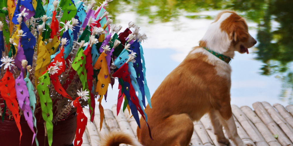 thailand-teaching-&-community-volunteering-for-older-adults-30