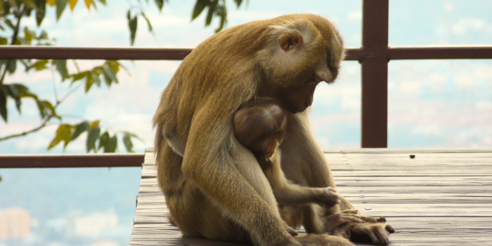 thailand-teaching-&-community-volunteering-for-older-adults-31