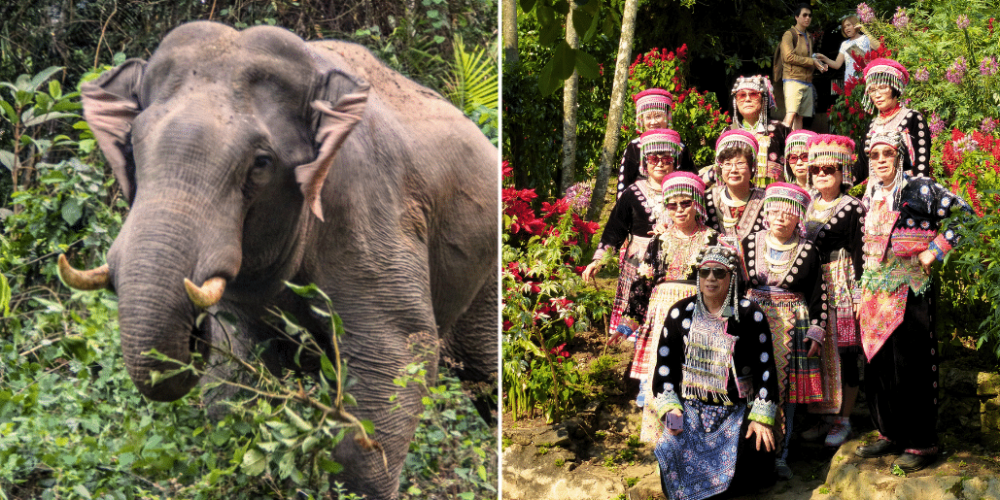 thailand-teaching-&-community-volunteering-for-older-adults-32