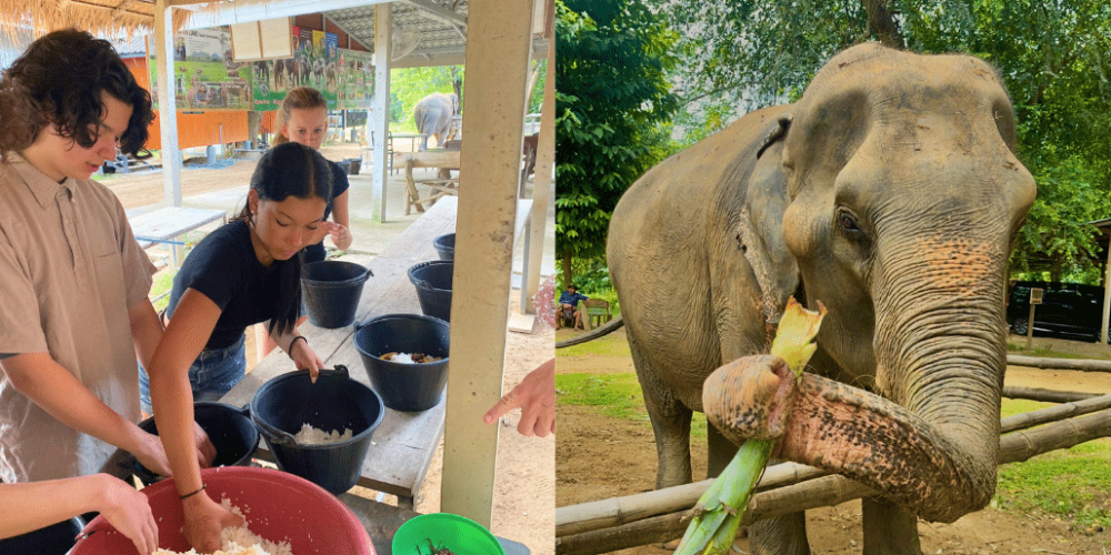 thiland-elephants-and-community-building-for-teenagers12
