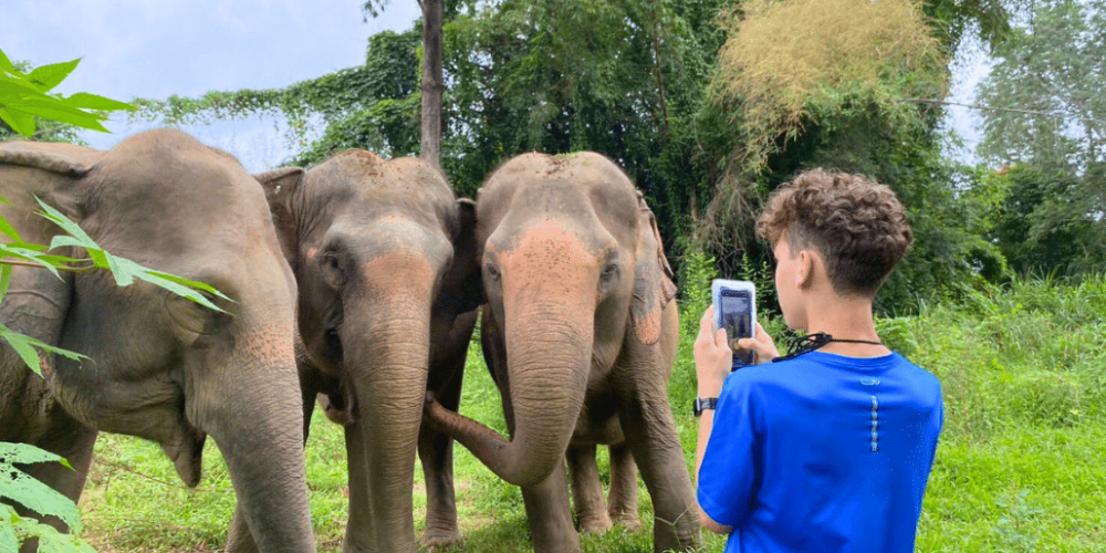 thiland-elephants-and-community-building-for-teenagers5