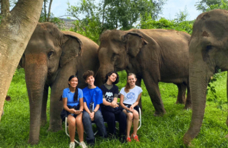 thiland-elephants-and-community-building-for-teenagersmain1