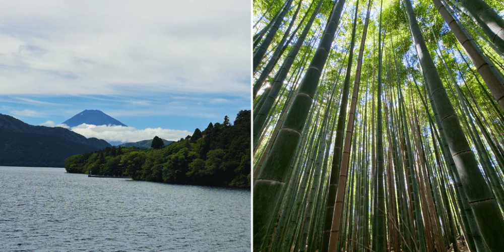 tokyo-to-osaka-13-day-cultural-discovery-tour-44