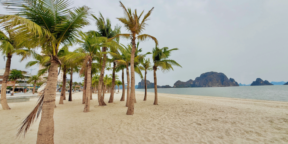 vietnam-medical-placement-in-ha-long-bay-26